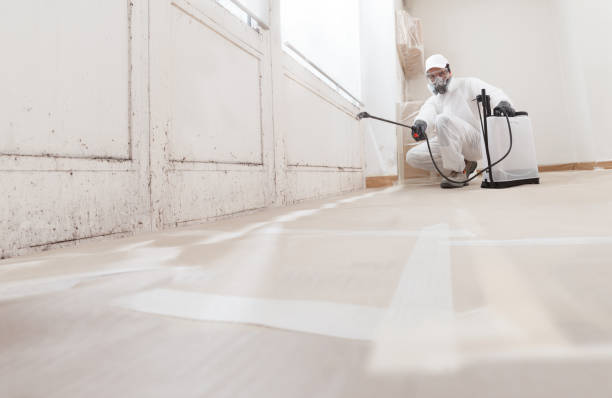24/7 Emergency Attic Mold Removal experts in Halifax, NC